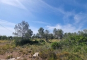 Xalet independent amb terreny en venda a la España, l'Ametlla de Mar, ref.: TR321105 foto