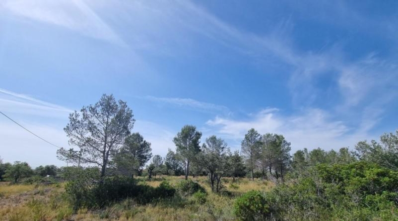 Tarragona - l'Ametlla de Mar - 13506m2