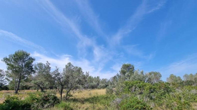 Tarragona - l'Ametlla de Mar - 13506m2
