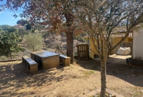 Foto 11