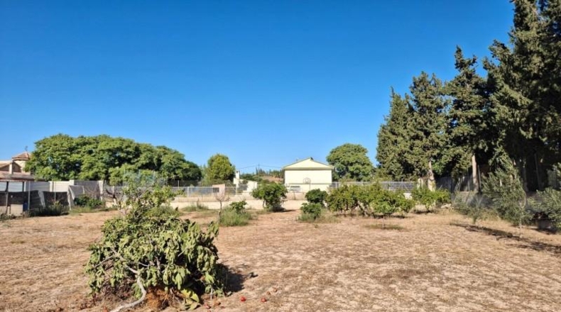 Murcia - Murcia - 2341m2