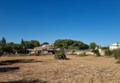 Terreny no urbanitzable en venda a la España, Múrcia, ref.: TR337540 foto