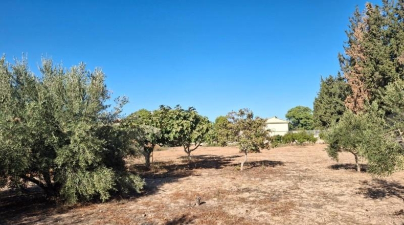 Murcia - Murcia - 2341m2