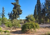 Terreny no urbanitzable en venda a la España, Múrcia, ref.: TR337540 foto