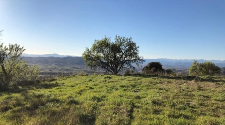 Leon - Ponferrada - 4000m2