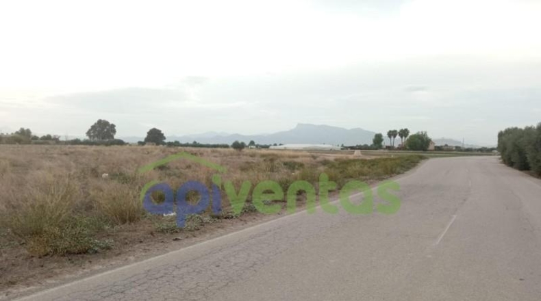 Múrcia - Lorca - 5200m2