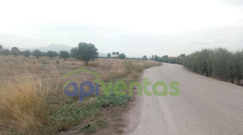 Múrcia - Lorca - 5200m2