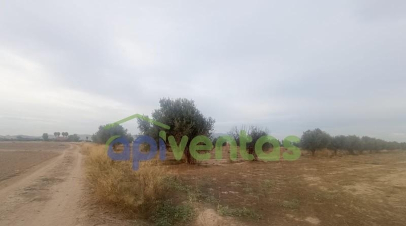 Múrcia - Lorca - 5200m2