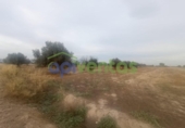 Земля на продажу у города Lorca Фото