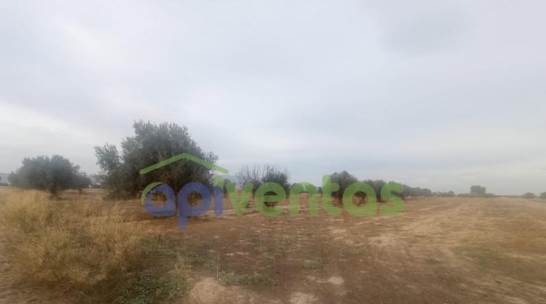 Múrcia - Lorca - 5200m2