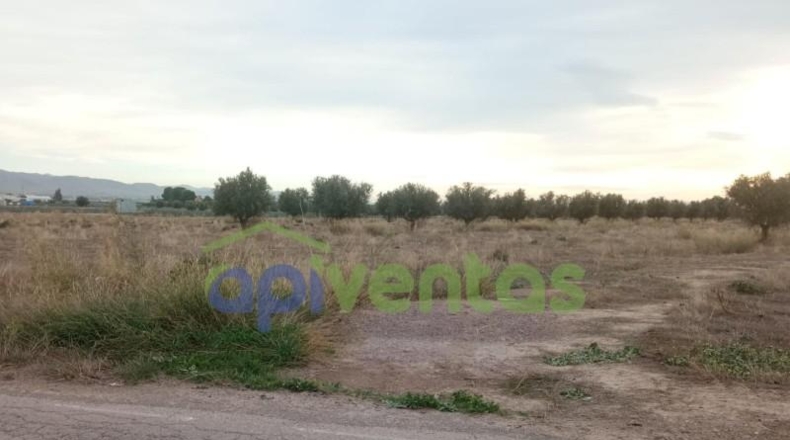 Múrcia - Lorca - 5200m2