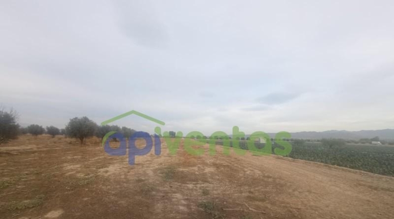 Múrcia - Lorca - 5200m2