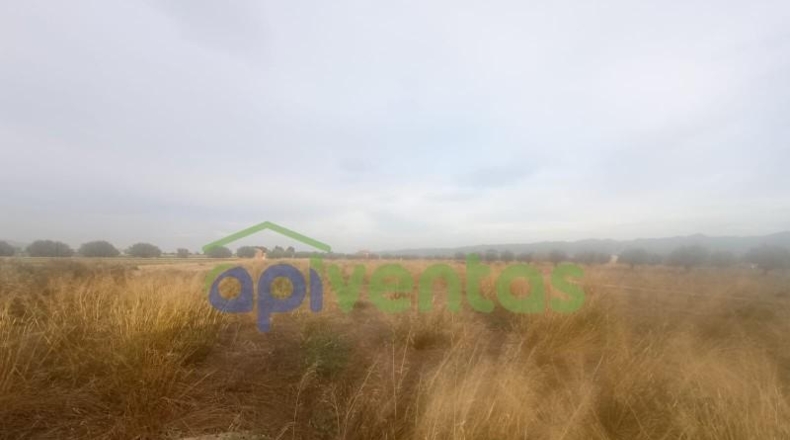 Múrcia - Lorca - 5200m2