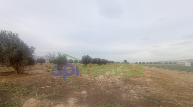 Múrcia - Lorca - 5200m2