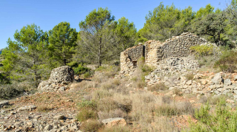 Alicante - Jalón - 32500m2