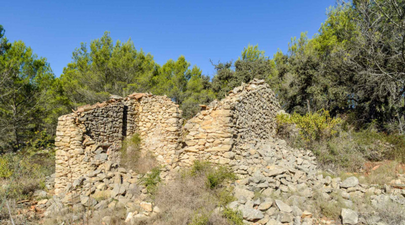 Alicante - Jalón - 32500m2