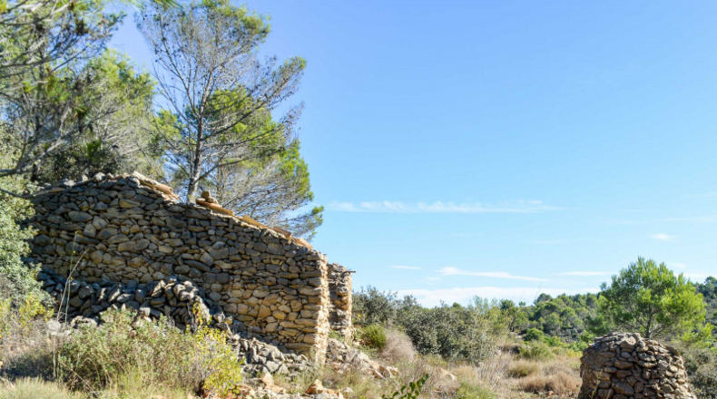Alicante - Jalón - 32500m2