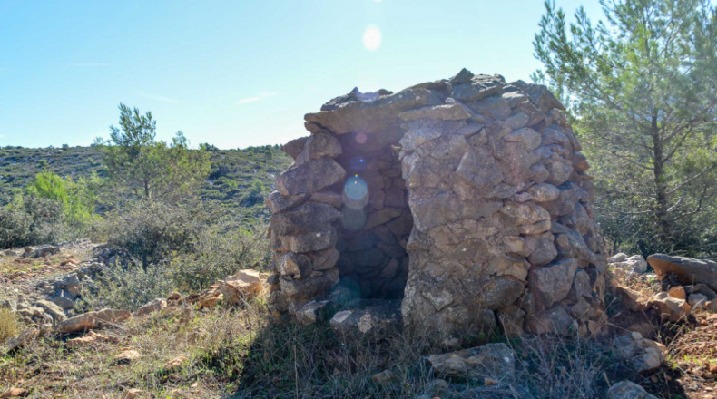 Alicante - Jalón - 32500m2