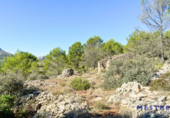Non-developable land for sale on España, Xaló, ref: TR116926 photo