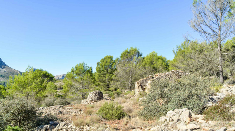 Alicante - Jalón - 32500m2