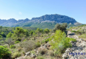 Non-developable land for sale on España, Xaló, ref: TR116926 photo
