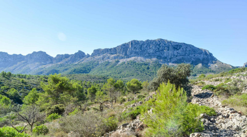 Alicante - Jalón - 32500m2