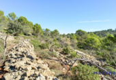 Non-developable land for sale on España, Xaló, ref: TR116926 photo