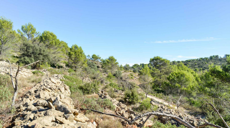 Alicante - Jalón - 32500m2
