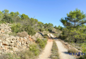 Non-developable land for sale on España, Xaló, ref: TR116926 photo