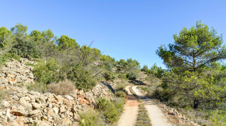 Alicante - Jalón - 32500m2