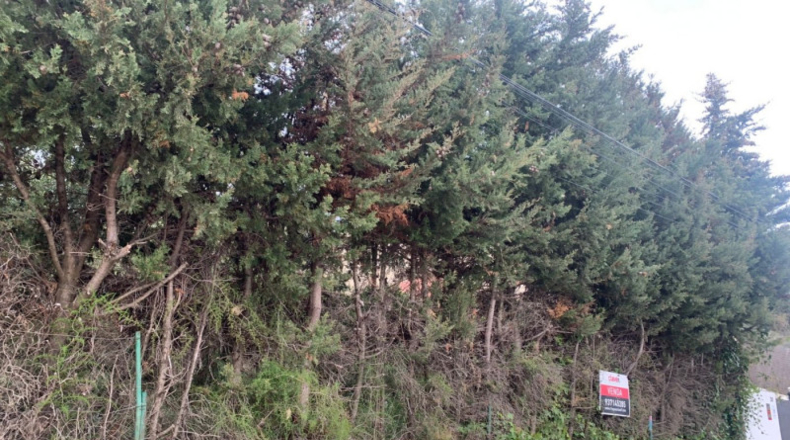 Barcelona - Castellar del Vallès - 685m2