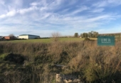 Parcela urbanizable en venta en la España, Pilas, ref: TR115330 foto