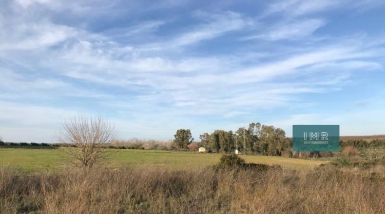 Seville - Pilas - 8584m2