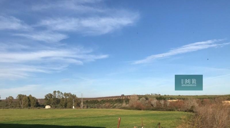 Seville - Pilas - 8584m2