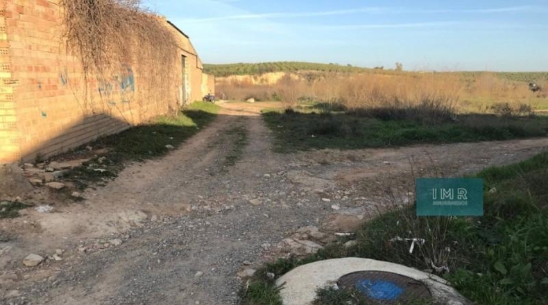 Seville - Pilas - 8584m2