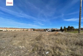 Modúbar de la Emparedada 3281&nbsp;m² 