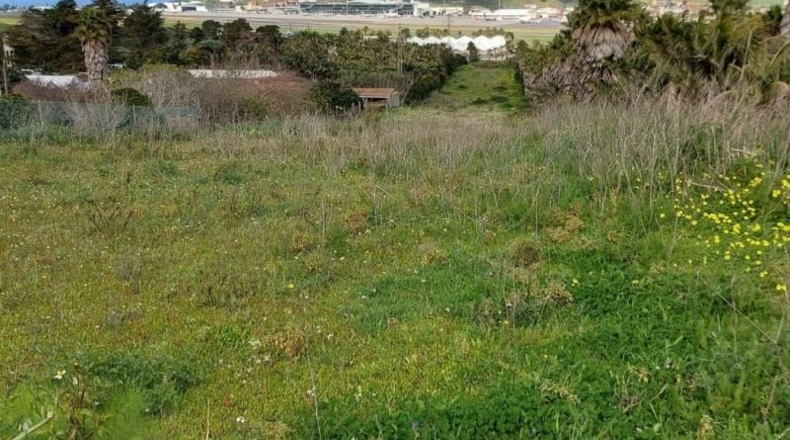 Santa Cruz de Tenerife - San Cristóbal de La Laguna - 11273m2