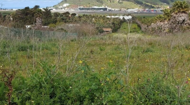 Santa Cruz de Tenerife - San Cristóbal de La Laguna - 11273m2