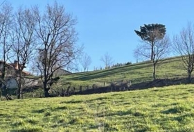 Foto 14