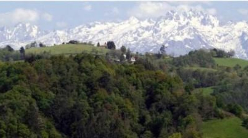 Asturias - Colunga - 1115m2