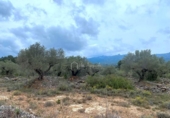 Terreno no urbanizable en venta en la España, el Perelló, ref: TR123088 foto
