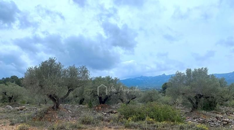 Tarragona - el Perelló - 46520m2