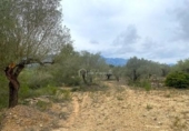 Terreno no urbanizable en venta en la España, el Perelló, ref: TR123088 foto
