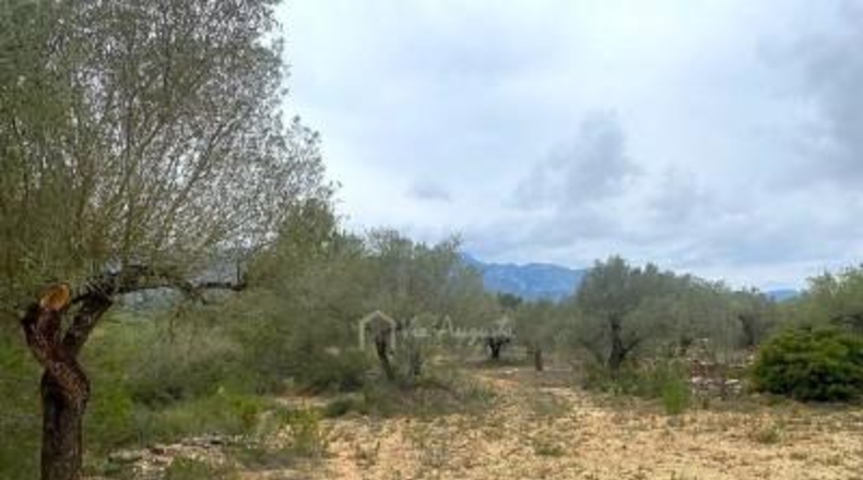 Tarragona - el Perelló - 46520m2