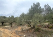 Terreno no urbanizable en venta en la España, el Perelló, ref: TR123088 foto
