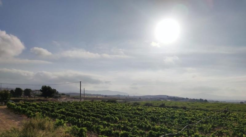 Alicante - Novelda - 17800m2
