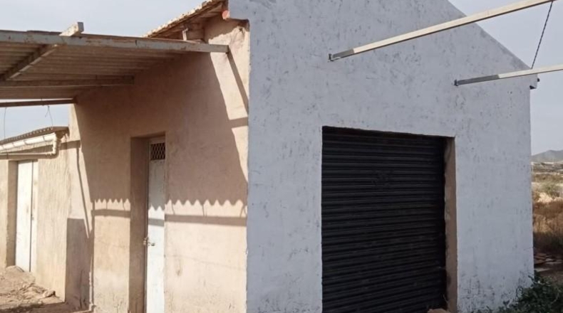 Alicante - Novelda - 17800m2