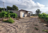 Rural estate for sale on España, Novelda, ref: TR112562 photo