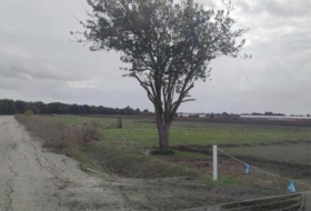 Sanlúcar de Barrameda 6800&nbsp;m² 