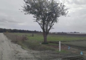 Terreny no urbanitzable en venda a la España, Sanlúcar de Barrameda, ref.: TR379010 foto